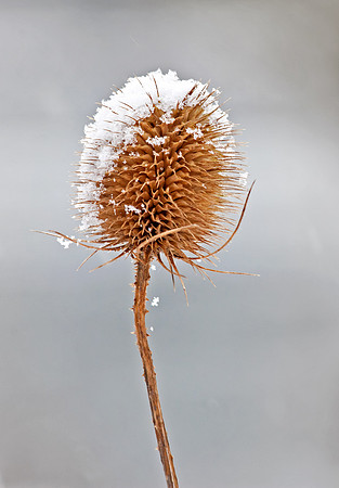 Snow On one Side