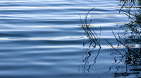 Rippling Water