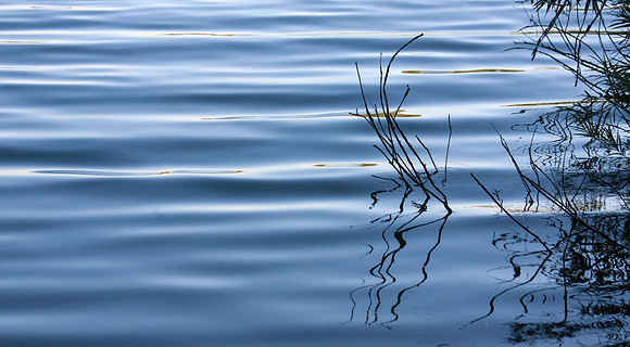 Rippling Water