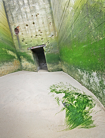 Wissant Remains