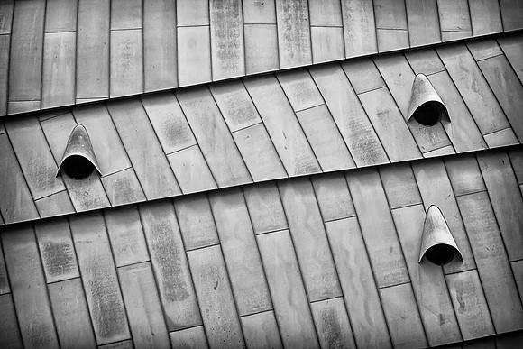 Angled Roof Detail Mono