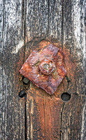 Seaside Rust