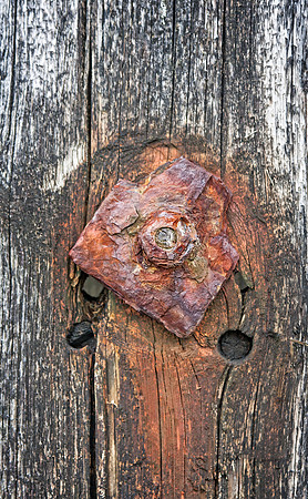 Seaside Rust
