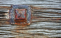 Textured Wood