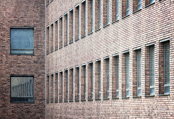 Lines Of Windows