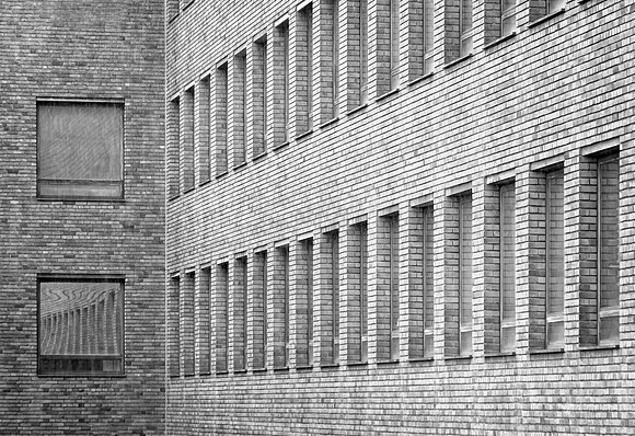 Lines Of Windows Mono