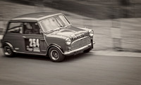 Mini Cornering Mono