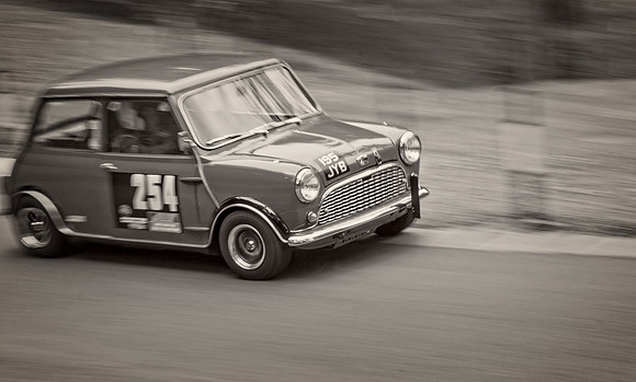 Mini Cornering Mono