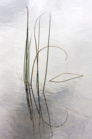 Abstract Water Feature