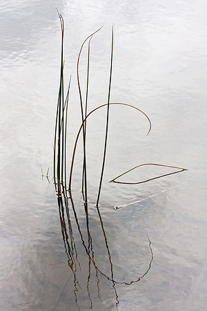 Abstract Water Feature
