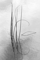 Abstract Water Feature Mono