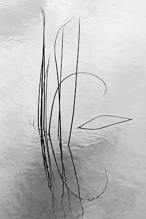Abstract Water Feature Mono