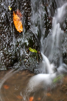 Rushing Water