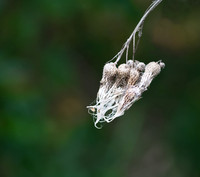Drying In The Air