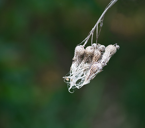 Drying In The Air